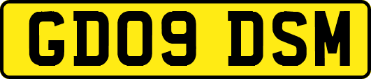 GD09DSM