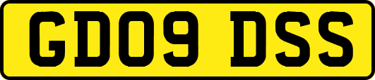 GD09DSS
