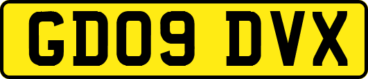 GD09DVX