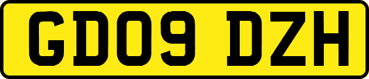 GD09DZH