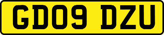 GD09DZU