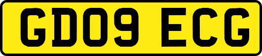 GD09ECG