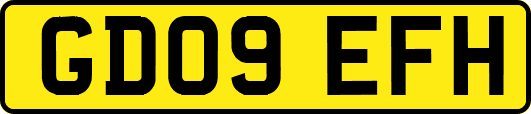 GD09EFH