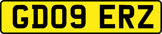 GD09ERZ