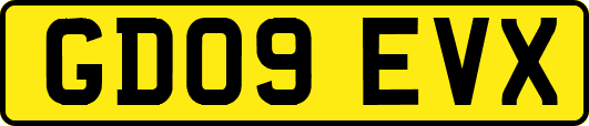GD09EVX