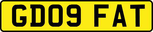 GD09FAT
