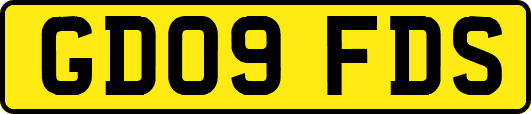 GD09FDS