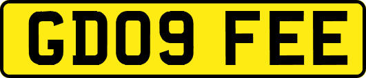GD09FEE