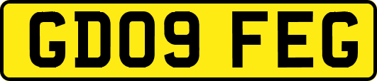 GD09FEG