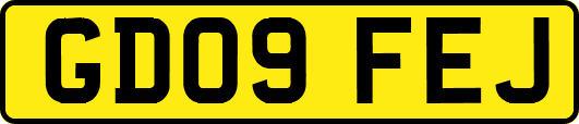 GD09FEJ