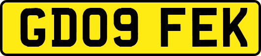GD09FEK
