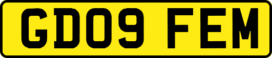 GD09FEM