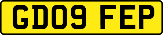 GD09FEP