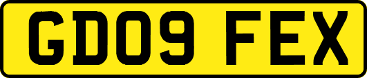 GD09FEX