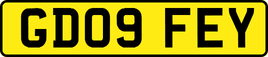 GD09FEY