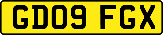 GD09FGX