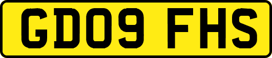 GD09FHS