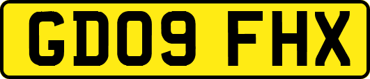 GD09FHX