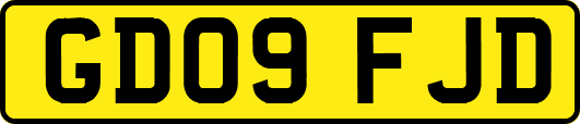 GD09FJD