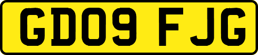 GD09FJG