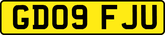 GD09FJU