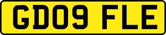 GD09FLE