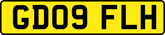 GD09FLH