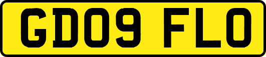 GD09FLO