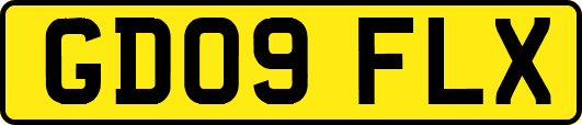 GD09FLX