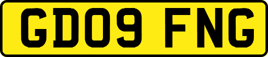 GD09FNG