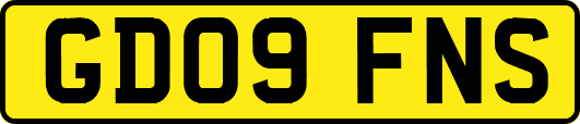 GD09FNS