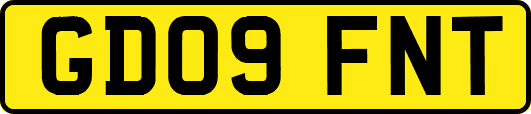 GD09FNT