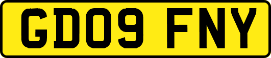 GD09FNY