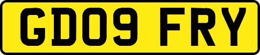 GD09FRY
