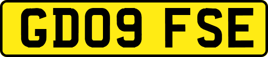 GD09FSE