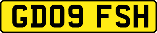 GD09FSH