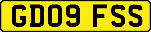GD09FSS