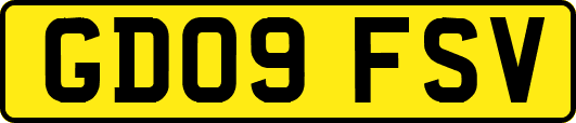 GD09FSV