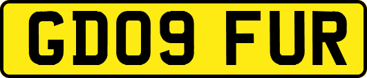 GD09FUR