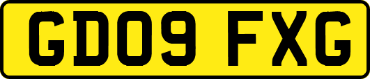 GD09FXG
