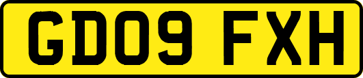 GD09FXH