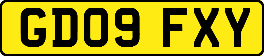 GD09FXY