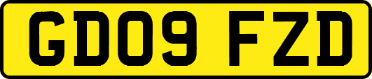 GD09FZD