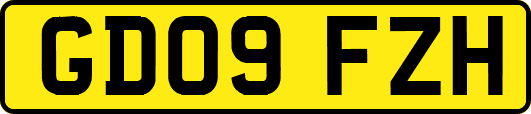 GD09FZH