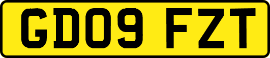 GD09FZT