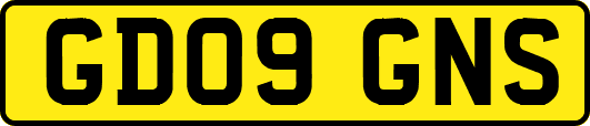 GD09GNS