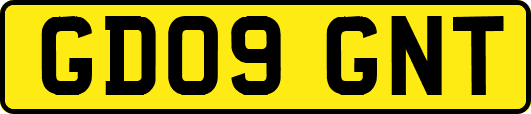 GD09GNT
