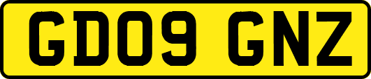 GD09GNZ