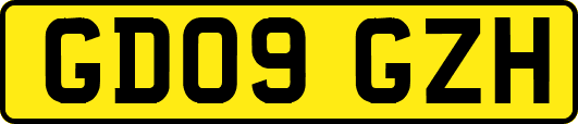 GD09GZH