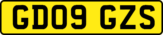 GD09GZS